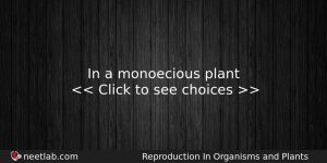 In A Monoecious Plant Biology Question