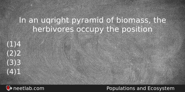 In An Uqright Pyramid Of Biomass The Herbivores Occupy The Biology Question 