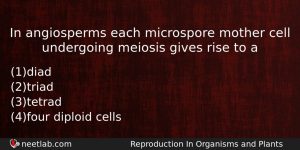 In Angiosperms Each Microspore Mother Cell Undergoing Meiosis Gives Rise Biology Question