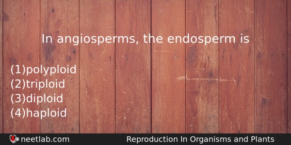 In Angiosperms The Endosperm Is Biology Question 