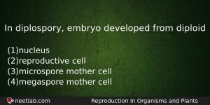 In Diplospory Embryo Developed From Diploid Biology Question