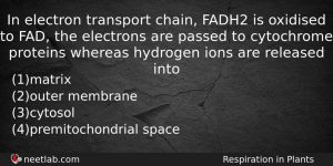 In Electron Transport Chain Fadh2 Is Oxidised To Fad The Biology Question