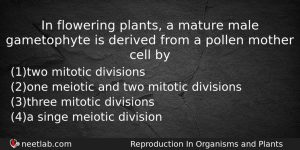 In Flowering Plants A Mature Male Gametophyte Is Derived From Biology Question
