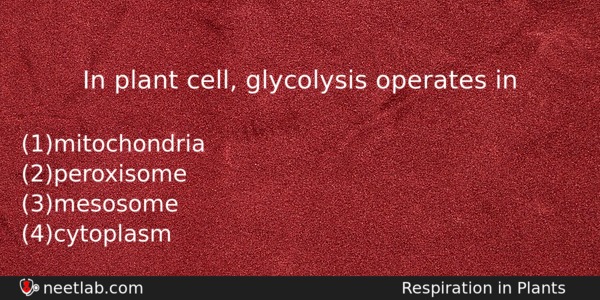 In Plant Cell Glycolysis Operates In Biology Question 
