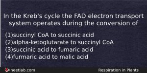 In The Krebs Cycle The Fad Electron Transport System Operates Biology Question