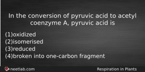 In The Conversion Of Pyruvic Acid To Acetyl Coenzyme A Biology Question