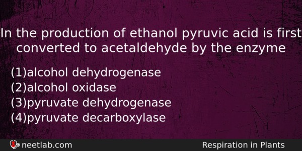 In The Production Of Ethanol Pyruvic Acid Is First Converted Biology Question 