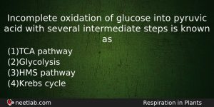 Incomplete Oxidation Of Glucose Into Pyruvic Acid With Several Intermediate Biology Question