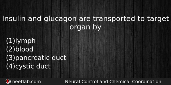 Insulin And Glucagon Are Transported To Target Organ By Biology Question 