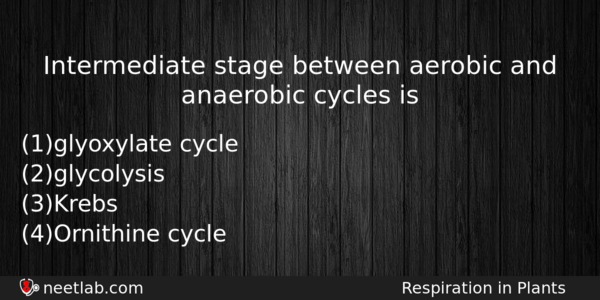 Intermediate Stage Between Aerobic And Anaerobic Cycles Is Biology Question 