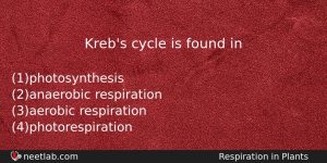 Krebs Cycle Is Found In Biology Question