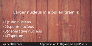 Larger Nucleus In A Pollen Grain Is Biology Question