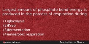 Largest Amount Of Phosphate Bond Energy Is Produced In The Biology Question