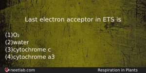 Last Electron Acceptor In Ets Is Biology Question