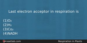 Last Electron Acceptor In Respiration Is Biology Question