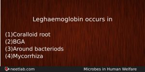 Leghaemoglobin Occurs In Biology Question