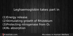 Leghaemoglobin Takes Part In Biology Question