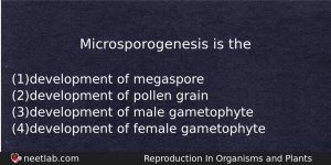 Microsporogenesis Is The Biology Question