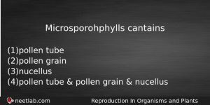 Microsporohphylls Cantains Biology Question