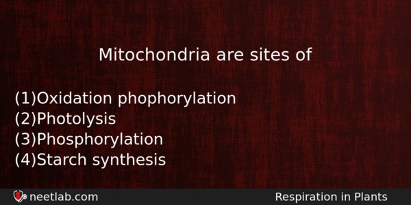 Mitochondria Are Sites Of Biology Question 