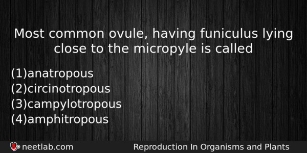 Most Common Ovule Having Funiculus Lying Close To The Micropyle Biology Question 