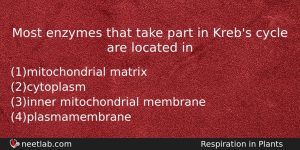 Most Enzymes That Take Part In Krebs Cycle Are Located Biology Question