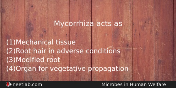 Mycorrhiza Acts As Biology Question 