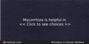 Mycorrhiza Is Helpful In Biology Question