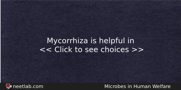 Mycorrhiza Is Helpful In Biology Question 