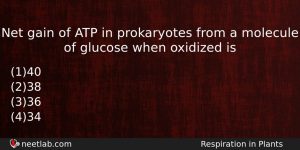 Net Gain Of Atp In Prokaryotes From A Molecule Of Biology Question
