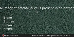 Number Of Prothallial Cells Present In An Anther Is Biology Question