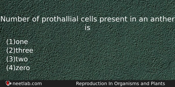 Number Of Prothallial Cells Present In An Anther Is Biology Question 