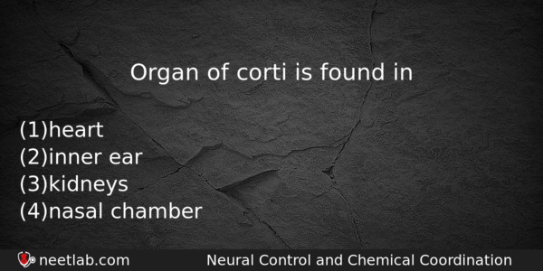 Organ Of Corti Is Found In Biology Question 