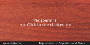 Perisperm Is Biology Question