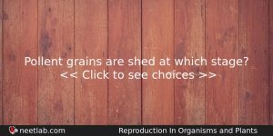 Pollent Grains Are Shed At Which Stage Biology Question