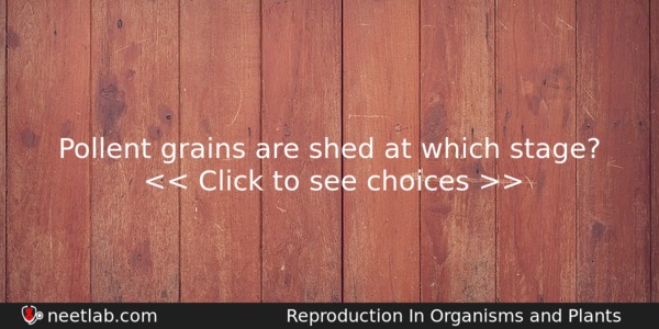 Pollent Grains Are Shed At Which Stage Biology Question 