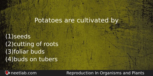 Potatoes Are Cultivated By Biology Question 