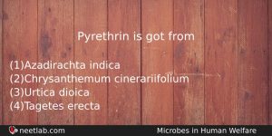 Pyrethrin Is Got From Biology Question
