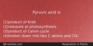 Pyruvic Acid Is Biology Question