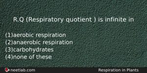 Rq Respiratory Quotient Is Infinite In Biology Question