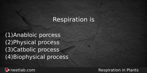 Respiration Is Biology Question