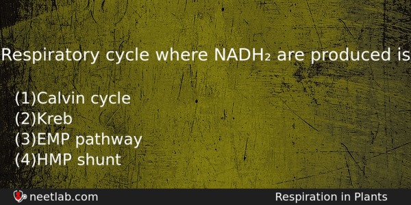 Respiratory Cycle Where Nadh Are Produced Is Biology Question 