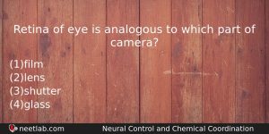 Retina Of Eye Is Analogous To Which Part Of Camera Biology Question