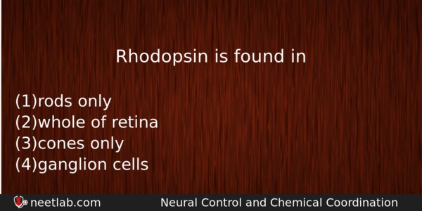 Rhodopsin Is Found In Biology Question 