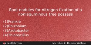 Root Nodules For Nitrogen Fixation Of A Nonleguminous Tree Possess Biology Question