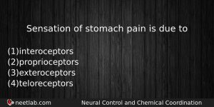Sensation Of Stomach Pain Is Due To Biology Question