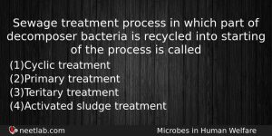 Sewage Treatment Process In Which Part Of Decomposer Bacteria Is Biology Question