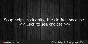 Soap Helps In Cleaning The Clothes Because Chemistry Question
