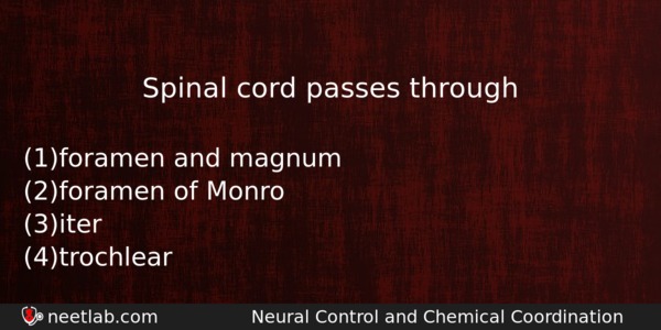 Spinal Cord Passes Through Biology Question 