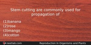 Stem Cutting Are Commonly Used For Propagation Of Biology Question